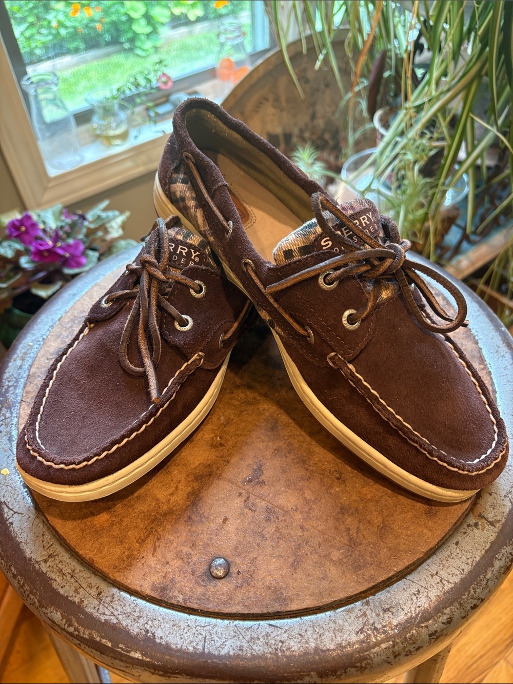 Sperry Chocolate Brown Suede and plaid, 2-Eye Boat Shoes